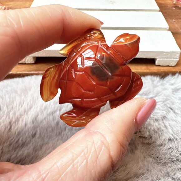 Gorgeous Small Carnelian Turtle Carving - Picture 1 of 6